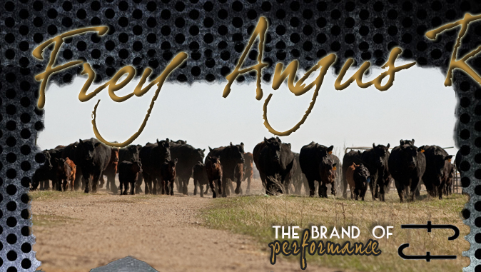 Frey Angus Ranch