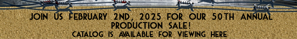 Frey Angus Ranch 46th Annual Production Sale - February 7, 2021